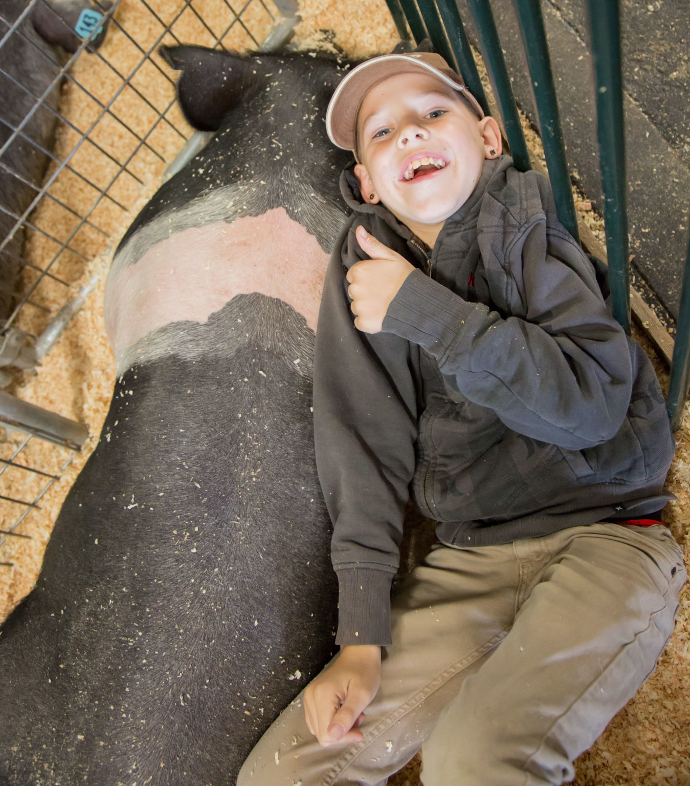 070919 SB Fair Animal Judging 23.jpg